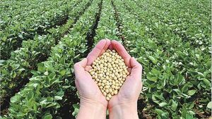 Gobierno y sector productivo chocan por exigencias de la UE