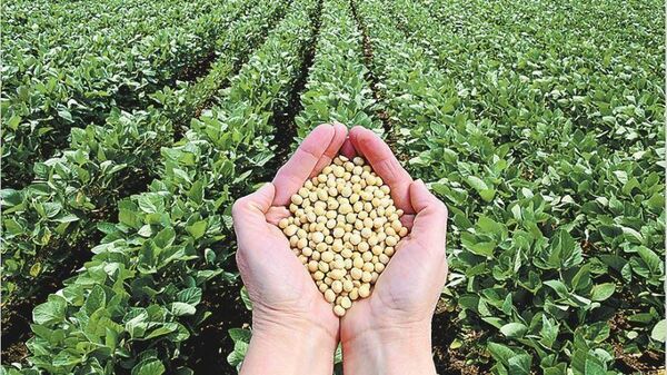 Gobierno y sector productivo chocan por exigencias de la UE