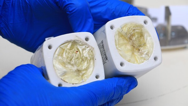 Senad frena envío de cocaína oculta en bobinas con destino a Tailandia