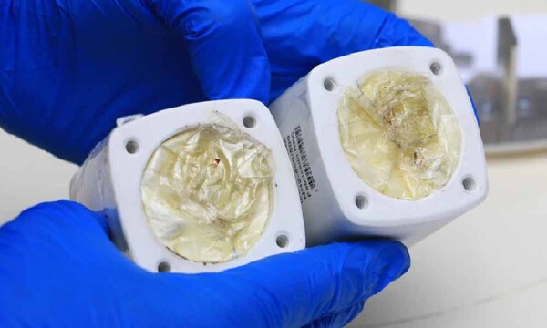 Senad frena envío de cocaína oculta en bobinas con destino a Tailandia – Prensa 5