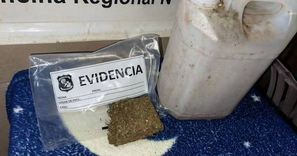 Diario HOY | Incautan 2.800 kilos de semilla de marihuana durante un allanamiento