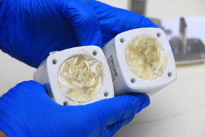 Ingenio narco sin límites: decomisan cocaína oculta en fusibles eléctricos