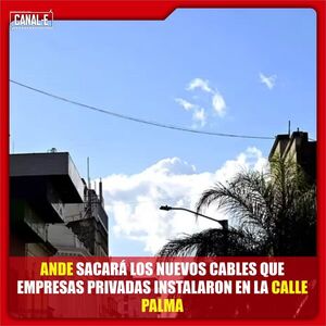 ANDE SACARÁ LOS NUEVOS CABLES QUE EMPRESAS PRIVADAS INSTALARON EN LA CALLE PALMA