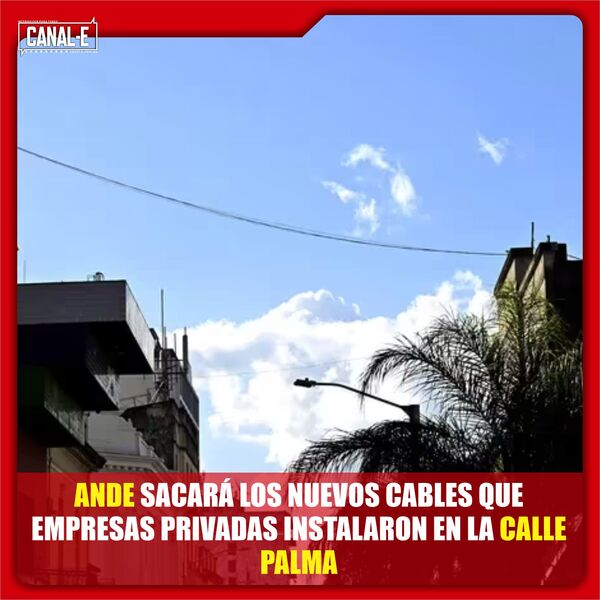 ANDE SACARÁ LOS NUEVOS CABLES QUE EMPRESAS PRIVADAS INSTALARON EN LA CALLE PALMA