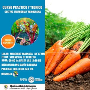 Curso Practico y Teórico, Cultivo de Zanahoria y Remolacha
