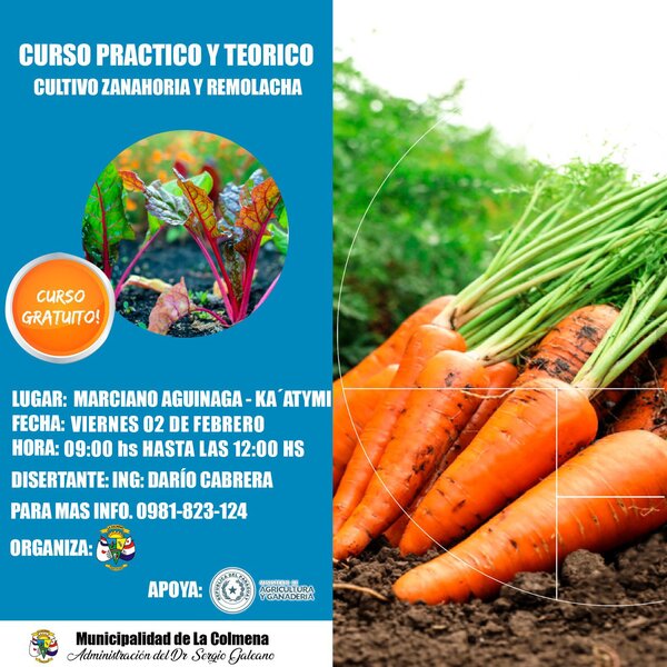 Curso Practico y Teórico, Cultivo de Zanahoria y Remolacha