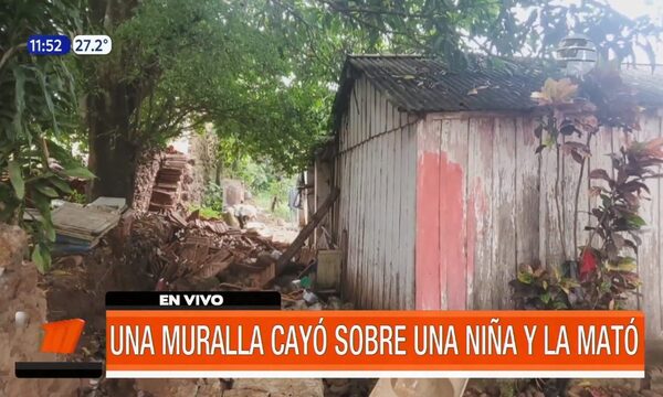 Muralla cayó sobre una niña y la mató | Telefuturo