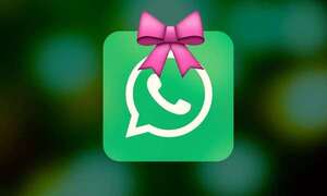 Actualiza el icono de WhatsApp al estilo coquette