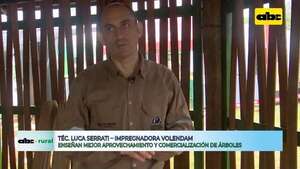 Video: enseñan a productores el valor de la madera que tienen en sus campos - ABC Rural - ABC Color
