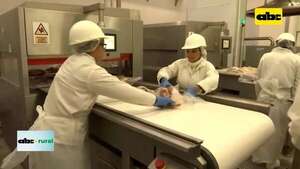 Video: sistema Automatizado de Tipificación avanza en Uruguay   - ABC Rural - ABC Color