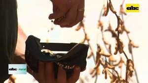 Video: Complejo soja ingreso US$ 4.557 millones hasta noviembre de 2023  - ABC Rural - ABC Color