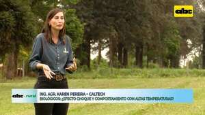 Video: responden sobre acción de biológicos en el calor y alta infestación de plagas  - ABC Rural - ABC Color
