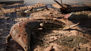 Hallan fósiles de un anfibio gigante más antiguo que los dinosaurios en Brasil