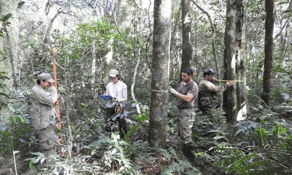 Varias acciones ambientales de interés encararon en las reservas naturales de ITAIPU en el 2023 – Diario TNPRESS