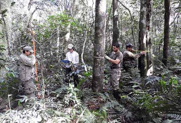 Itaipú encaró varias acciones ambientales de interés en sus reservas naturales en el 2023 | DIARIO PRIMERA PLANA