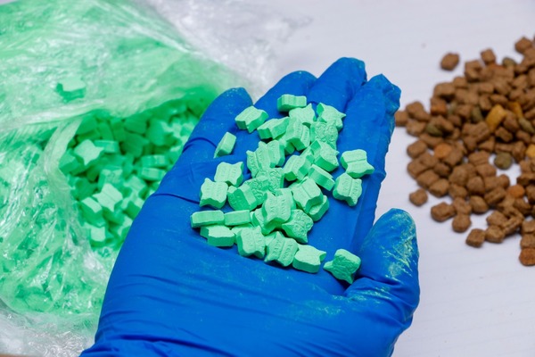 Hallan 26 mil dosis de éxtasis ocultas en balanceados para perros y gatos - Megacadena - Diario Digital
