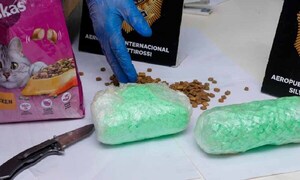 Incautan unas 26.000 dosis de éxtasis ocultas en balanceados para perros y gatos – Prensa 5
