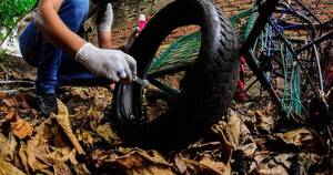 Diario HOY | Lucha contra el dengue: SENEPA realiza intervenciones en Asunción y Gran Asunción