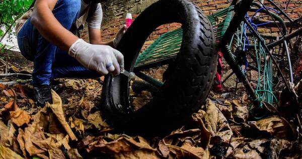 Diario HOY | Lucha contra el dengue: SENEPA realiza intervenciones en Asunción y Gran Asunción