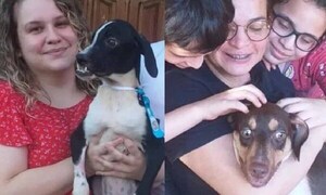 Perritos discriminados “por feos” ya consiguieron hogar – Prensa 5