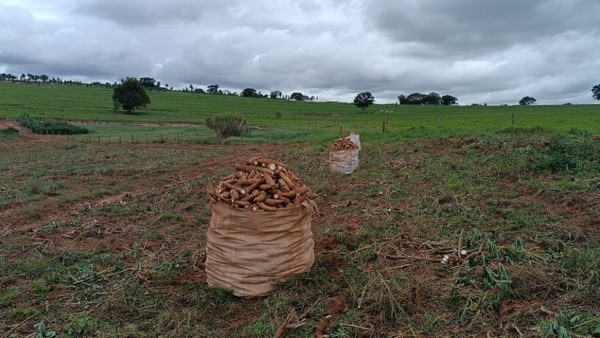 Rescatan a paraguayos que eran sometidos a un régimen de semiesclavitud en Brasil - La Tribuna