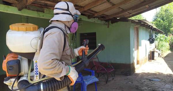 La Nación / Fumigan casa por casa en el marco del plan antidengue en Asunción y Central
