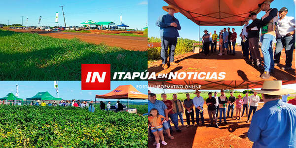 COOP. NARANJITO REALIZÓ SU TRADICIONAL DÍA DE CAMPO DE VARIEDADES DE SOJA - Itapúa Noticias