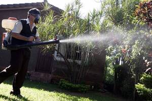 Plan antidengue: fumigan casa por casa Asunción y Central