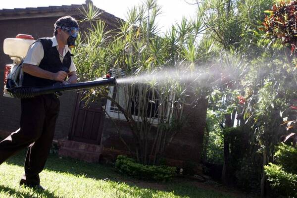 Plan antidengue: fumigan casa por casa Asunción y Central