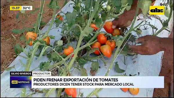 Video: Piden frenar exportación de tomates - ABC Noticias - ABC Color