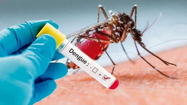Teledengue: Dan seguimiento a más de 3.000 casos y alivian carga hospitalaria