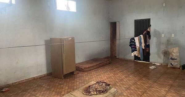 Diario HOY | Rescatan a 15 paraguayos que trabajaban en condiciones de esclavitud en Brasil