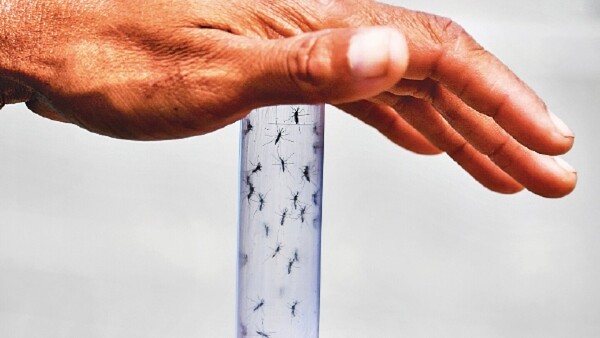 Exitoso test de nueva vacuna contra el dengue en Suiza