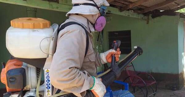La Nación / Fumigan casa por casa en Asunción y Central