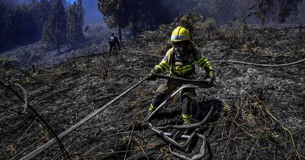 La Nación / Colombia declara “calamidad pública” por incendios forestales