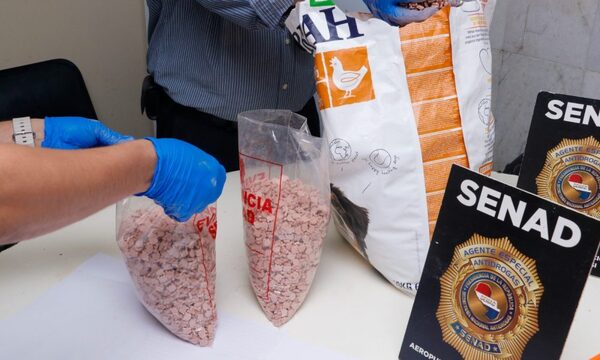 Senad incauta unas 26.000 dosis de éxtasis ocultas en balanceados para perros y gatos – Diario TNPRESS