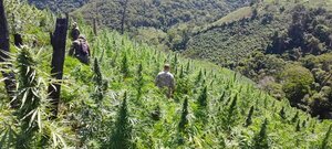 Senad despliega operativo antidrogas dentro de la Reserva Natural del Bosque Mbaracayú