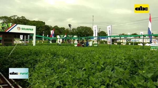 Video: Inbio preparar variedades de soja para ir lanzando  - ABC Rural - ABC Color