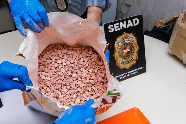SENAD INCAUTA UNAS 26.000 DOSIS DE ÉXTASIS OCULTAS EN BALANCEADOS PARA PERROS Y GATOS - La Voz del Norte