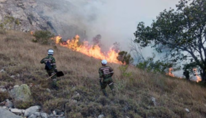 Petro declara desastre natural en Colombia para atender emergencia por incendios forestales
