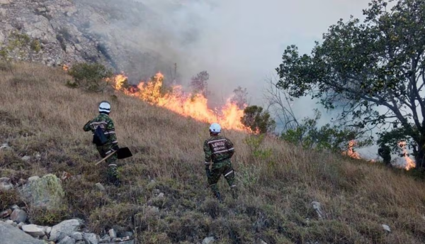 Petro declara desastre natural en Colombia para atender emergencia por incendios forestales
