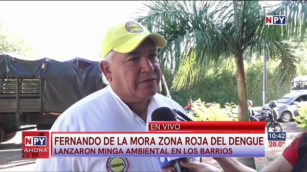 Fernando de la Mora es zona roja por dengue - Noticias Paraguay
