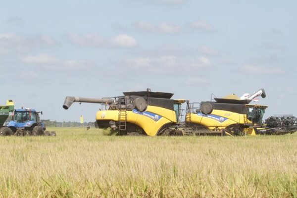 Presidente afirma que Paraguay se convertirá en poco tiempo en potencia mundial en la producción de arroz