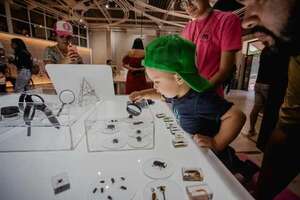 Insectos, gastronomía prehispánica y cuentos en el MuCi - Cultura - ABC Color
