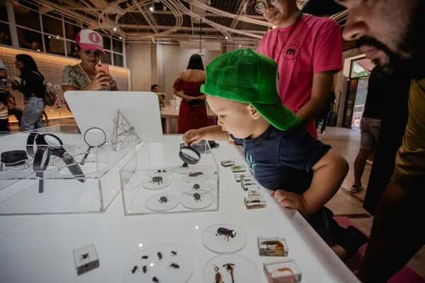 Insectos, gastronomía prehispánica y cuentos en el MuCi - Cultura - ABC Color