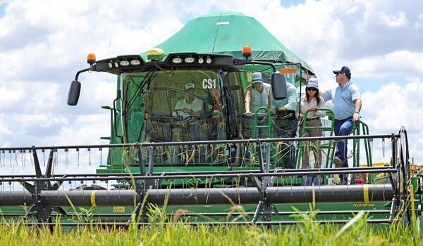 Peña destaca sorpresiva expansión arrocera e insta a seguir diversificando la matriz productiva - MarketData