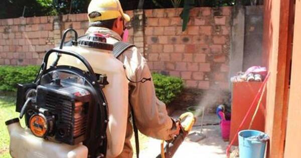 Diario HOY | Lucha contra el dengue: fumigación en barrios de Asunción y ciudades de Central