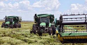 Diario HOY | Paraguay busca convertirse en uno de los mayores productores de arroz del mundo