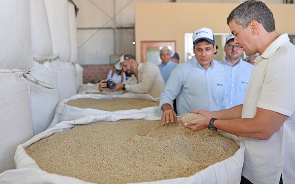 Santiago Pe帽a afirma que Paraguay se convertir谩 en poco tiempo en potencia mundial en la producci贸n de arroz - Revista PLUS
