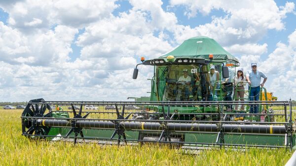 Cosecha de arroz en la Estancia Siete Puntas de GPSA desplegó el potencial productivo del cultivo en el Chaco